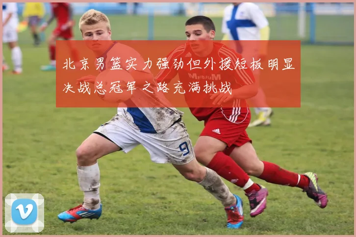 北京男篮实力强劲但外援短板明显决战总冠军之路充满挑战