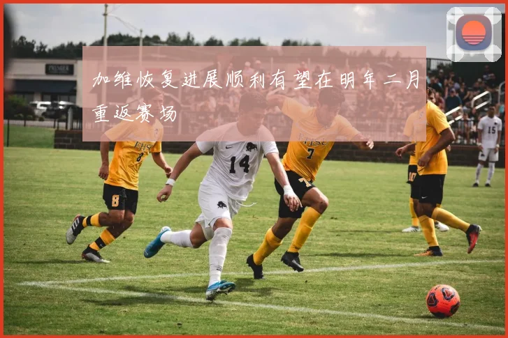 加维恢复进展顺利有望在明年二月重返赛场