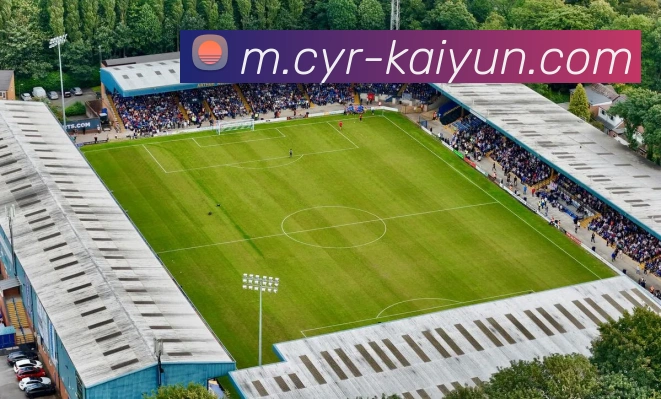 App Interface Preview