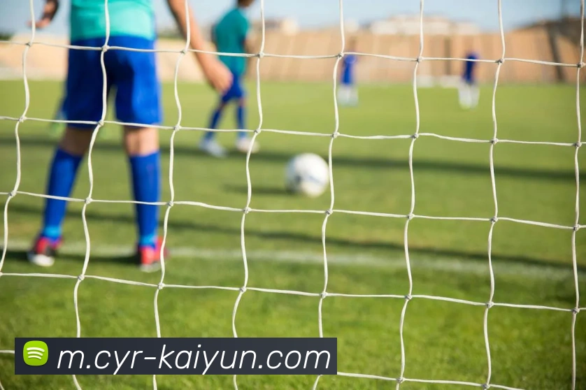 开云足球APP 封面图